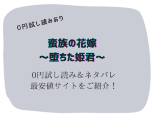 蛮族の花嫁~堕ちた姫君~